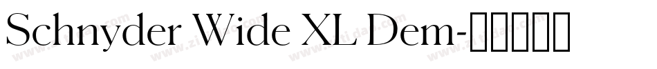 Schnyder Wide XL Dem字体转换